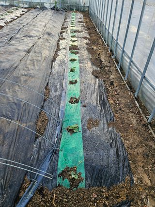 백호순(후추)님의 자유주제 · 자유게시판 작성글 사진