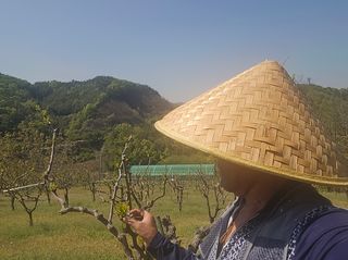 쌍둥이네농장님의 🌱내 작물 자랑하기! · 참여글 작성글 사진