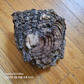 김정우님의 농사, 무엇이든 물어보세요! · 참여글 작성글 사진