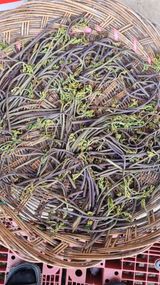 팜모닝 자유주제·자유게시판 게시글 이미지