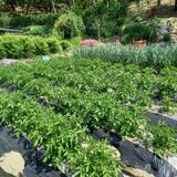 팜모닝 자유주제·자유게시판 게시글 이미지