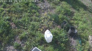 이원복님의 자유주제 · 사진전 작성글 사진