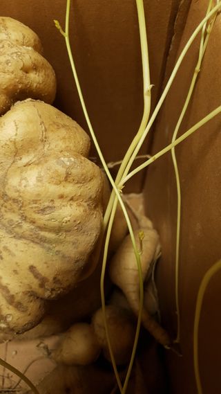 김지영님의 농사, 무엇이든 물어보세요! · 참여글 작성글 사진