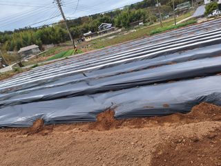 길가다우연히님의 자유주제 · 자유게시판 작성글 사진