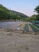 팜모닝 자유주제·사진전 게시글 이미지