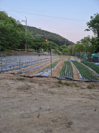 박수상님의 자유주제 · 사진전 작성글 사진