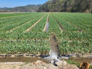 표고버섯11300님의 🌱내 작물 자랑하기! · 참여글 작성글 사진