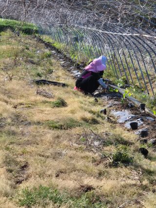 김영진(전남영광)님의 자유주제 · 자유게시판 작성글 사진
