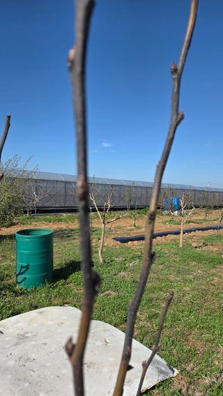 이종선님의 자유주제 · 자유게시판 작성글 사진