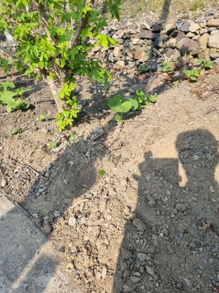 김용대님의 자유주제 · 자유게시판 작성글 사진