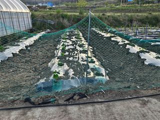 백호순(후추)님의 자유주제 · 자유게시판 작성글 사진