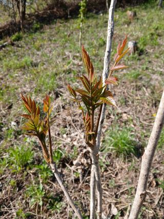 인생은 소풍처럼님의 자유주제 · 자유게시판 작성글 사진