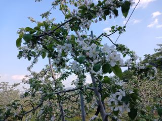 알 수 없음님의 자유주제 · 자유게시판 작성글 사진