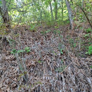 오영도님의 자유주제 · 자유게시판 작성글 사진