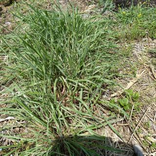 박철용 님의 자유주제 · 자유게시판 작성글 사진