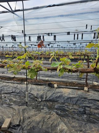 조영태님의 작성글 사진