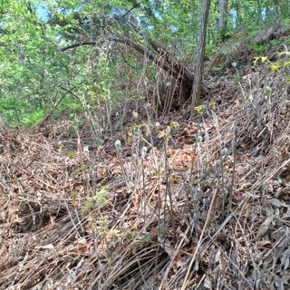 오영도님의 자유주제 · 자유게시판 작성글 사진