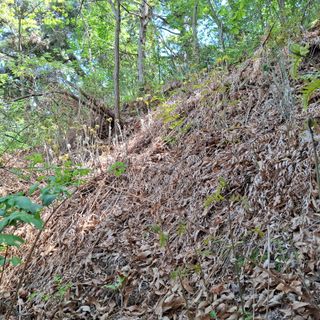 오영도님의 자유주제 · 자유게시판 작성글 사진