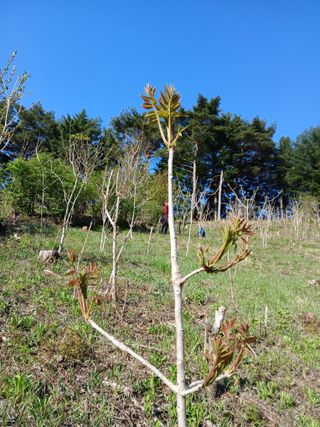 인생은 소풍처럼님의 자유주제 · 자유게시판 작성글 사진
