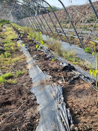 김영진(전남영광)님의 자유주제 · 자유게시판 작성글 사진