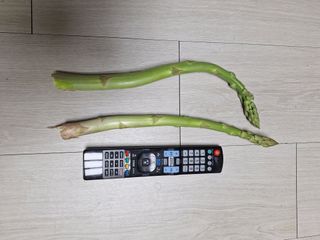 길가다우연히님의 자유주제 · 자유게시판 작성글 사진