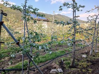 알 수 없음님의 자유주제 · 자유게시판 작성글 사진