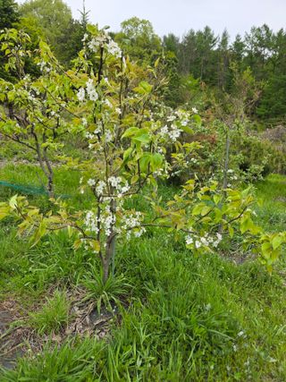 이원복님의 자유주제 · 사진전 작성글 사진