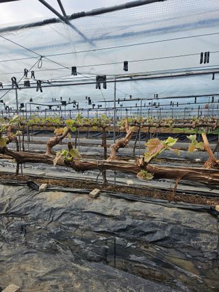 조영태님의 작성글 사진