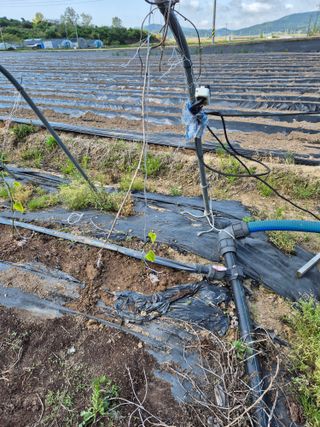 김영진(전남영광)님의 자유주제 · 자유게시판 작성글 사진