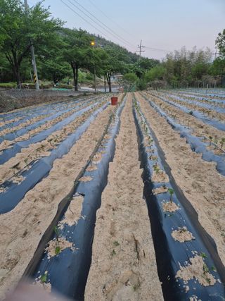 박수상님의 자유주제 · 사진전 작성글 사진