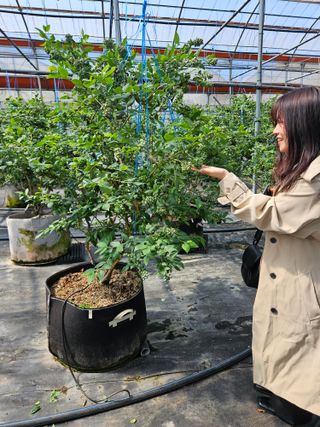 제주 지안이네농장님의 자유주제 · 자유게시판 작성글 사진