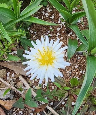 고추건조기부품판매님의 자유주제 · 자유게시판 작성글 사진