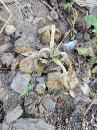 farmer님의 자유주제 · 자유게시판 작성글 사진