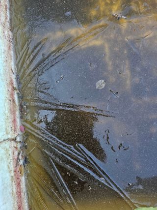 farmer님의 자유주제 · 자유게시판 작성글 사진