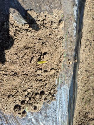 독고다이님의 자유주제 · 자유게시판 작성글 사진