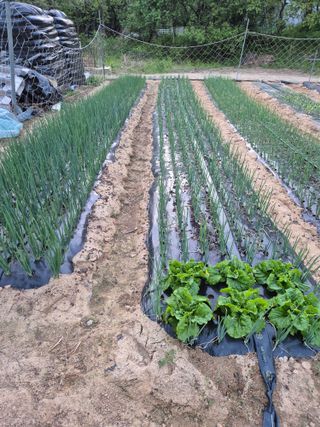 박수상님의 자유주제 · 사진전 작성글 사진