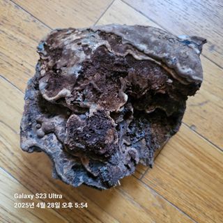 김정우님의 농사, 무엇이든 물어보세요! · 참여글 작성글 사진