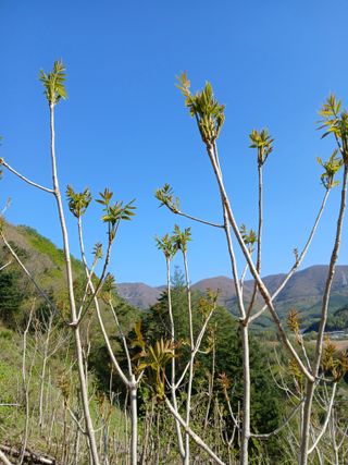 인생은 소풍처럼님의 자유주제 · 자유게시판 작성글 사진