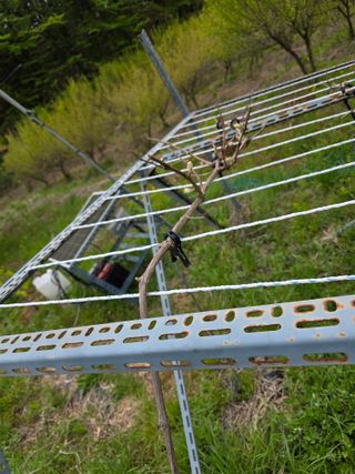 이원복님의 자유주제 · 사진전 작성글 사진