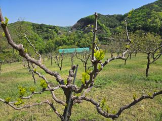 쌍둥이네농장님의 🌱내 작물 자랑하기! · 참여글 작성글 사진