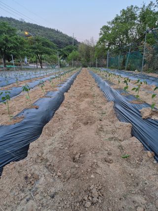 박수상님의 자유주제 · 사진전 작성글 사진