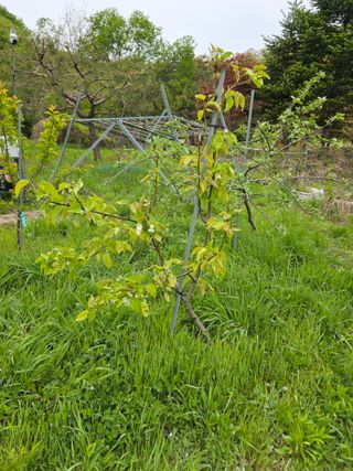 이원복님의 자유주제 · 사진전 작성글 사진