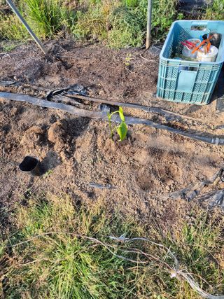 김영진(전남영광)님의 자유주제 · 자유게시판 작성글 사진