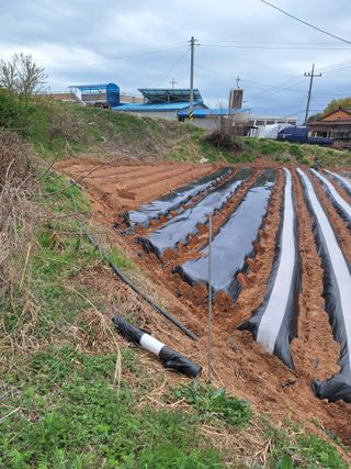 길가다우연히님의 자유주제 · 자유게시판 작성글 사진