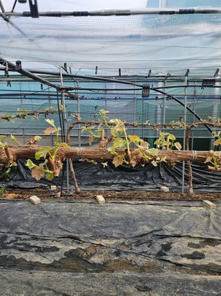 조영태님의 작성글 사진