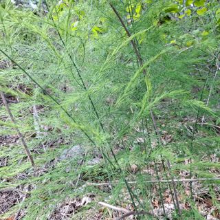 오영도님의 자유주제 · 자유게시판 작성글 사진