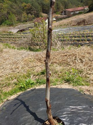 김광섭님의 자유주제 · 자유게시판 작성글 사진