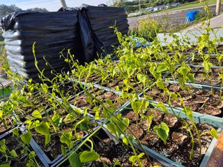 김영진(전남영광)님의 자유주제 · 자유게시판 작성글 사진