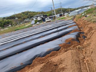 길가다우연히님의 자유주제 · 자유게시판 작성글 사진
