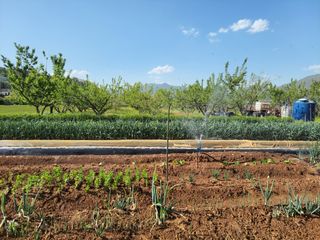 정택님의 자유주제 · 자유게시판 작성글 사진